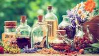 بررسی اثر ضد میکروبی اسانس زوفا و اسانس کندر علیه تعدادی از میکروارگانیسم های شاخص عفونت و مسمومیت غذایی در شرایط آزمایشگاهی
