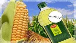 مروری بر فرآورده های غذایی اصلاح شده ژنتیکی