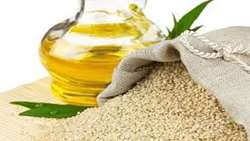 ارزیابی اثر آنتی اکسیدانی عصاره کنجاله روغن کشی شده کنجد جهت پای