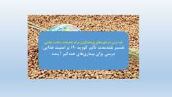 تفسیر بلندمدت تأثیر کووید-۱۹ بر امنیت غذایی: درسی برای بیماری‌های همه‌گیر آینده