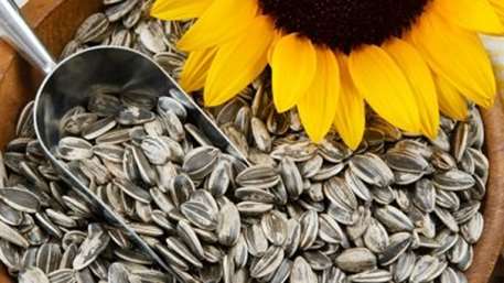  تخمه شکستن؛ سرگرمی یا اعتیاد؟
